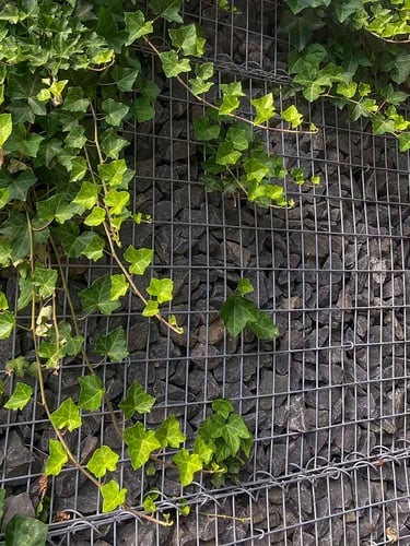 Pierres à gabion Basalte noir jardin paysagé
