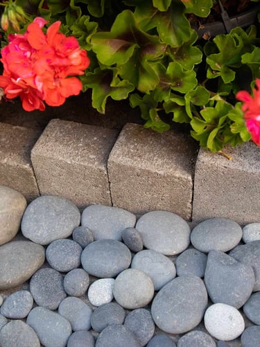 Beach pebbles noir grands galets 30 - 60mm (3 - 6cm) jardin paysagé