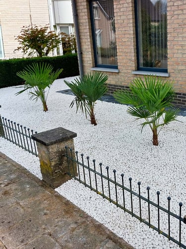 Carrara galets blanc 16 - 25mm jardin paysagé