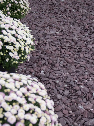 Flat Pebbles violet 30 - 60 jardin paysagé