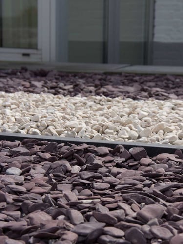 Flat Pebbles violet 30 - 60 jardin paysagé