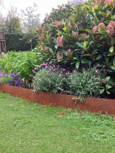 Multi-Edge METAL Lawn Edging Corten Steel 100x27,5cm