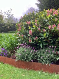 Multi-Edge METAL Lawn Edging Corten Steel 100x27,5cm