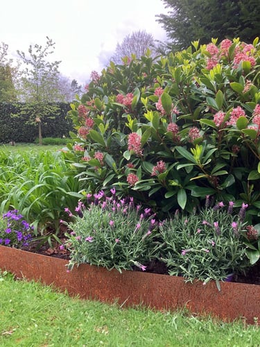 Multi-Edge METAL Lawn Edging Corten Steel 100x27,5cm