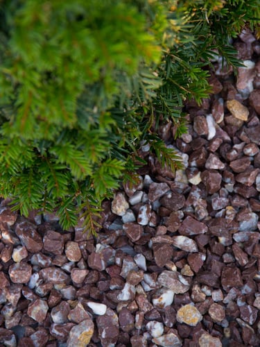 Rouge Belge gravier concassé 8 - 16 humide jardin paysagé
