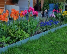 Maak je tuin klaar voor de lente! 