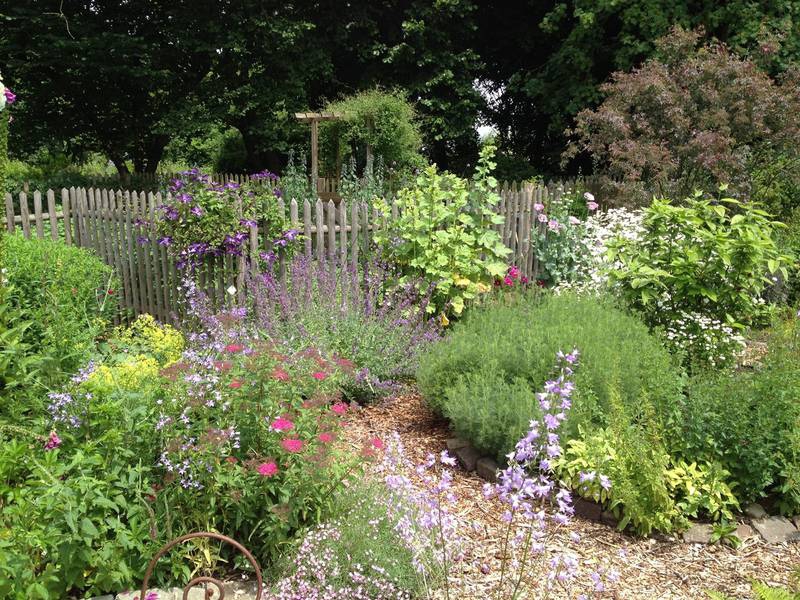 Wilde Kreativität In Ihrem Garten – Eine Naturgarten Anlegen