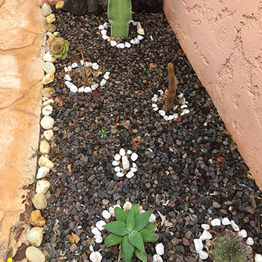 Maceta para cactus hecha con piedra volcanica