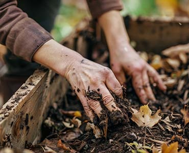 Compost in tuin